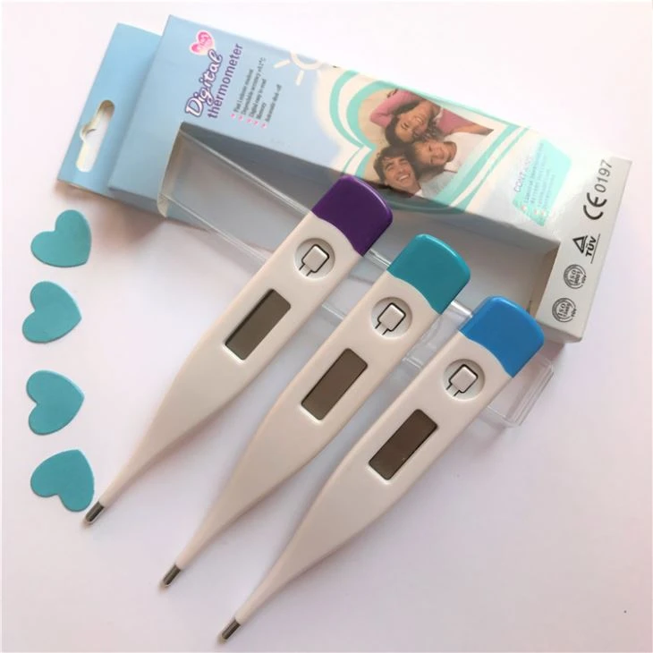 Digital Oral Thermometer