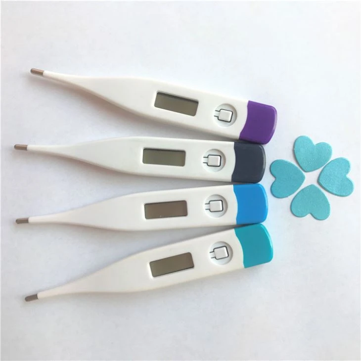 Digital Oral Thermometer
